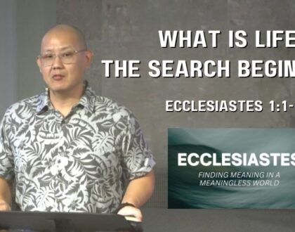 What is Life? The Search Begins (Ecclesiastes 1:1-11)