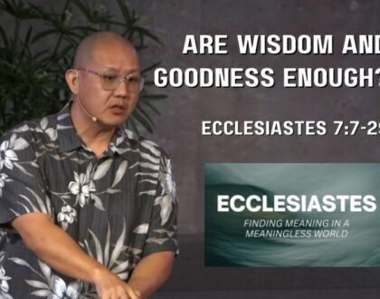 Are Wisdom and Goodness Enough? (Ecclesiastes 7:7-29)